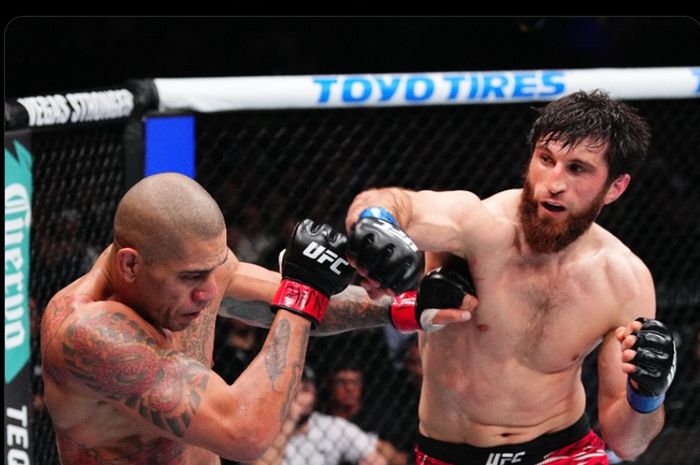 UFC 320 – Ketimbang Alex Pereira, Petarung UFC Ini Lebih Pilih Magomed Ankalaev