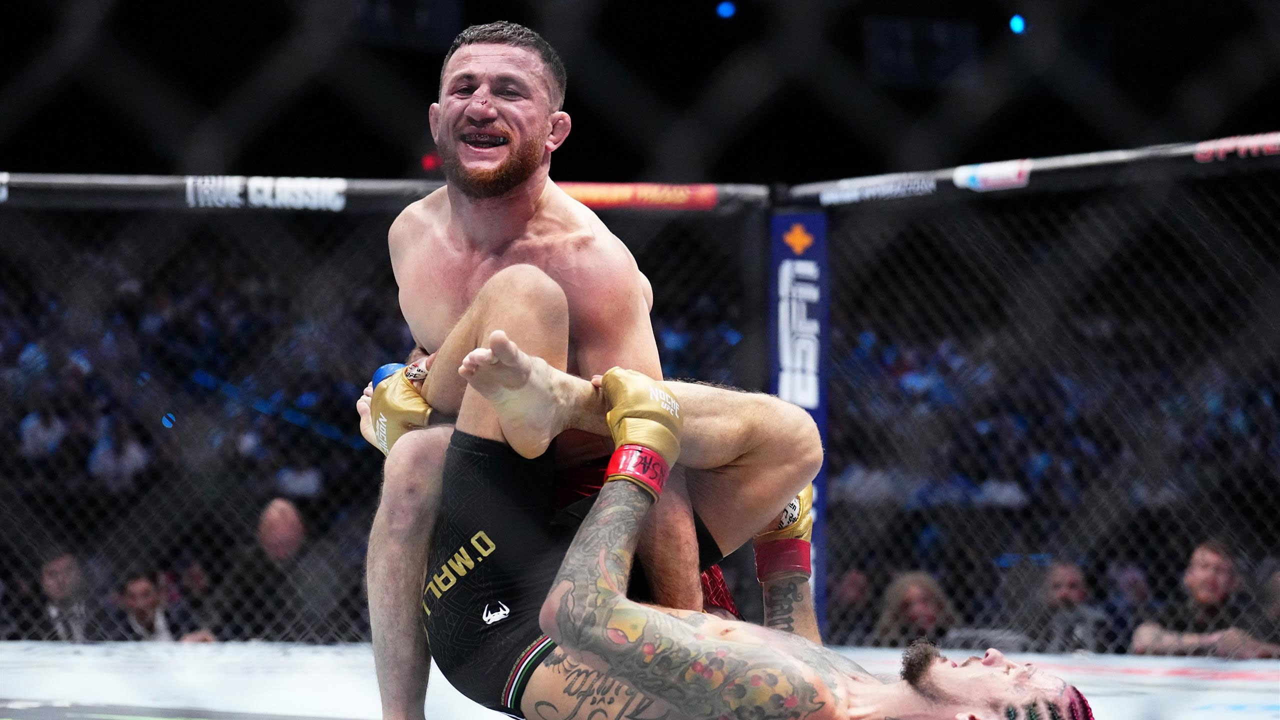 Hasil UFC 306 – Sean O’Malley Dikunci di Kanvas dan Dipukuli, Merab Dvalishvili Juara Baru